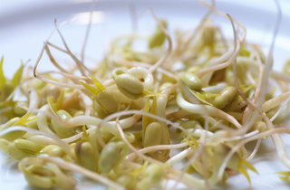 Mung Beans Raw Sprouted Mature Seeds Nutrition Facts And Analysis